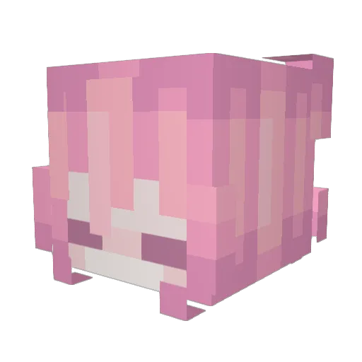 FeL42 Minecraft avatar head, 3D render
