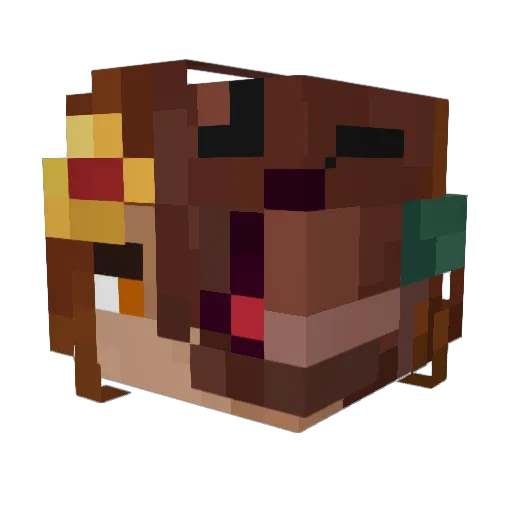 FeLIx15999 Minecraft avatar head, 3D render