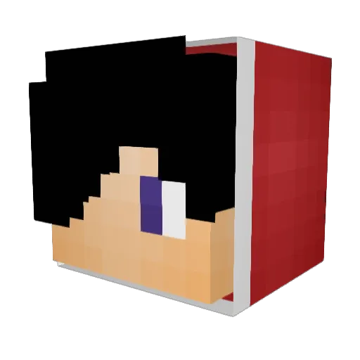 FeLis4 Minecraft avatar head, 3D render