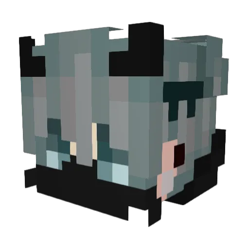 FeNiXinho Minecraft avatar head, 3D render