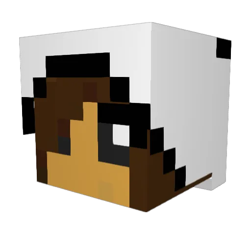 FePi2000 Minecraft avatar head, 3D render