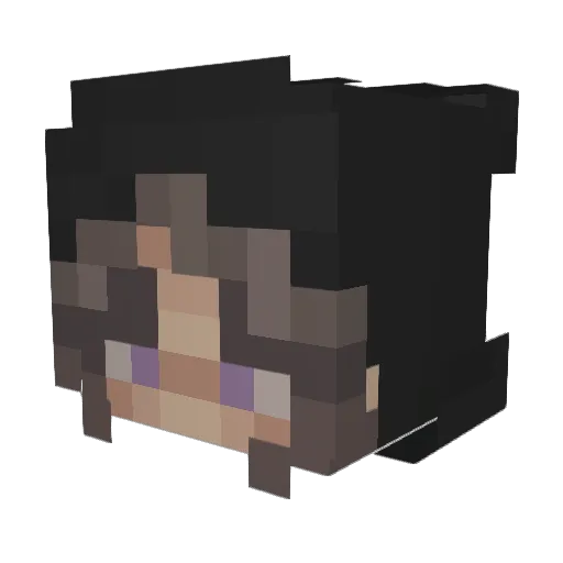FeRiley Minecraft avatar head, 3D render
