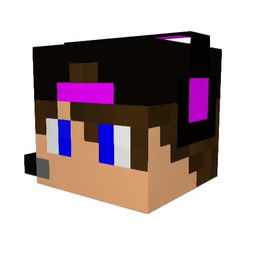 FeXooh Minecraft avatar head, 3D render