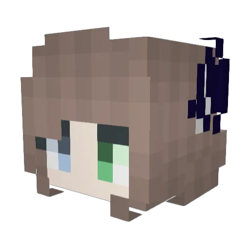 Fe_Fe Minecraft avatar head, 3D render