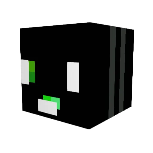 Fe_xil Minecraft avatar head, 3D render