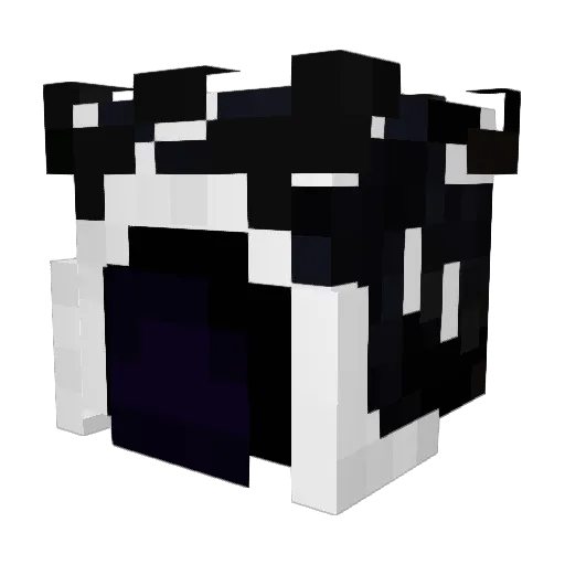 FeaRLesS8334 Minecraft avatar head, 3D render