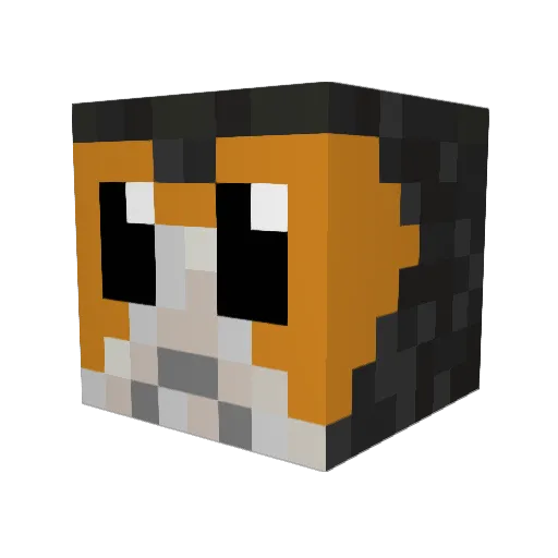 Feand1108 Minecraft avatar head, 3D render