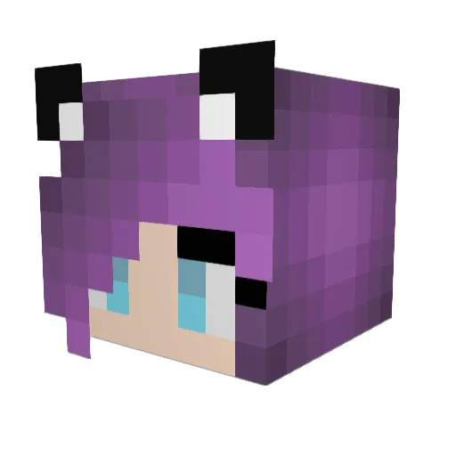 Feanenda Minecraft avatar head, 3D render