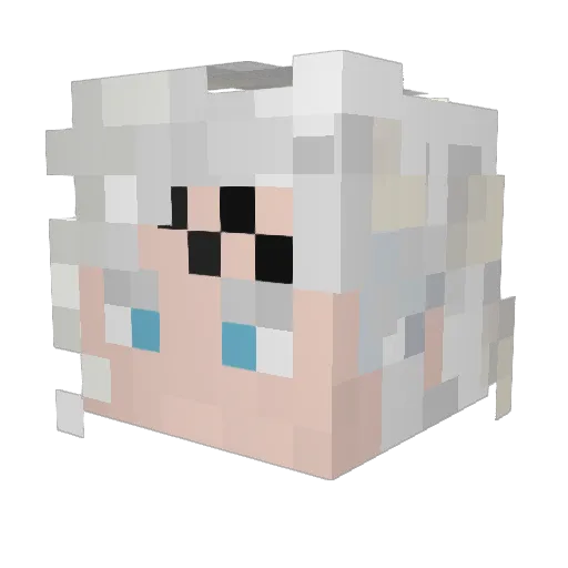 Feanor007 Minecraft avatar head, 3D render