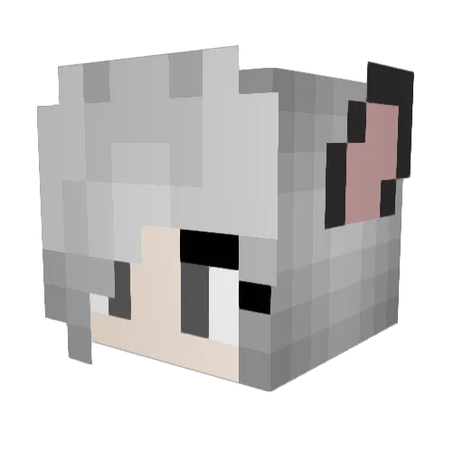FearMyFoot Minecraft avatar head, 3D render
