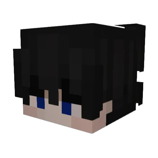 Minecraft-Avatar von FearMySkillissue: Kopf als 3D-Render