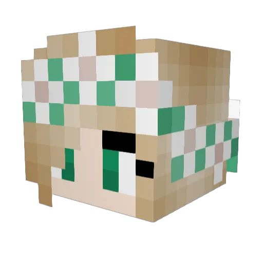 FearTheTooth Minecraft avatar head, 3D render