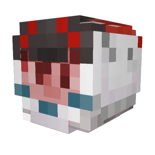 FearfulPluto Minecraft avatar head, 3D render