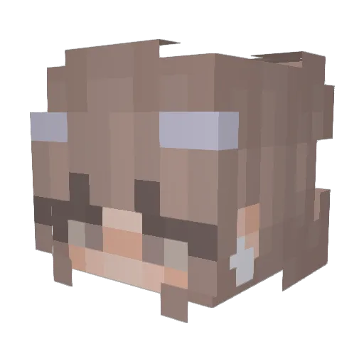 Fearfulrobin228 Minecraft avatar head, 3D render