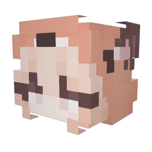 Fearis0w0 Minecraft avatar head, 3D render