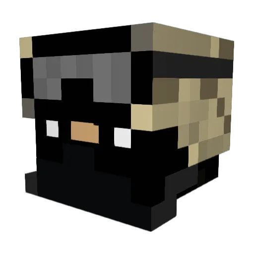Fearless4204 Minecraft avatar head, 3D render