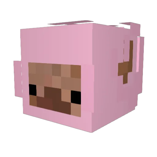 FearlessChicken1 Minecraft avatar head, 3D render
