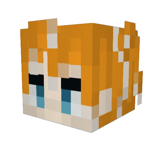 FearlessFox Minecraft avatar head, 3D render