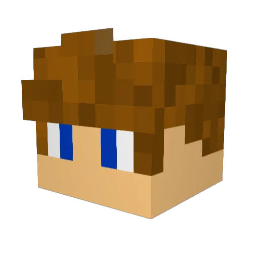 FearlessGamer49 Minecraft avatar head, 3D render