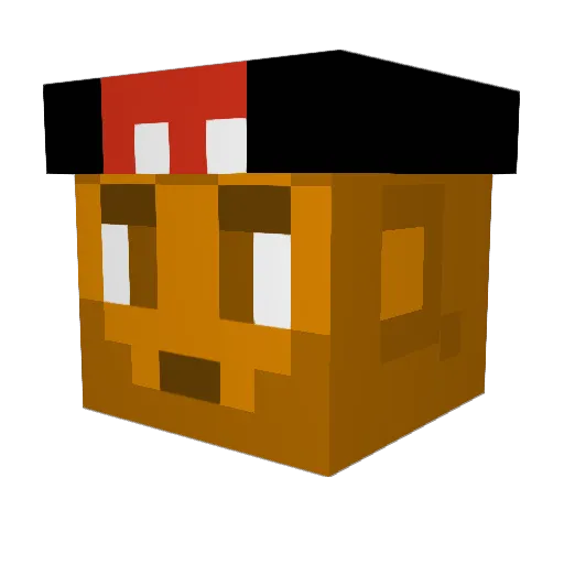 FearlessReed Minecraft avatar head, 3D render