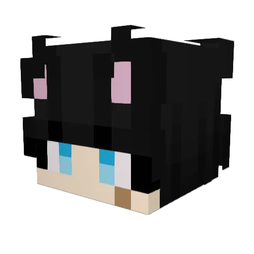 Fearlessleader1 Minecraft avatar head, 3D render