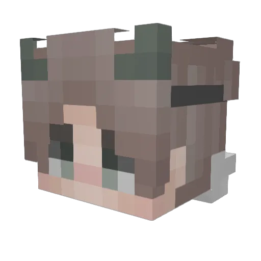 FearsomeRocket Minecraft avatar head, 3D render