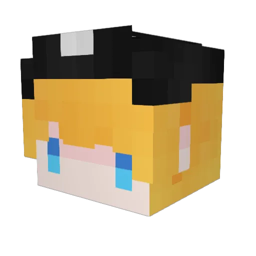 Feastkill Minecraft avatar head, 3D render