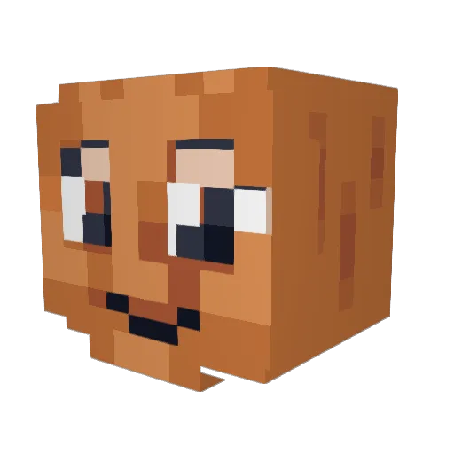 FeatAmoeba6598 Minecraft avatar head, 3D render