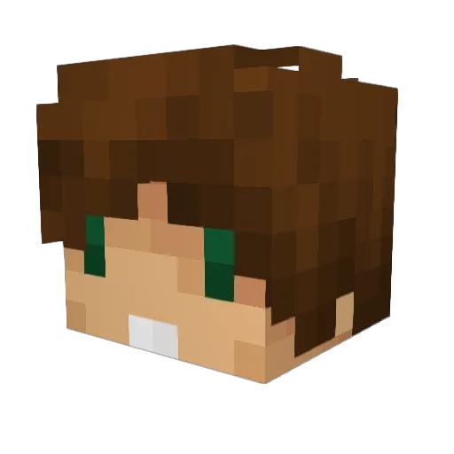 FeatherCalm383 Minecraft avatar head, 3D render