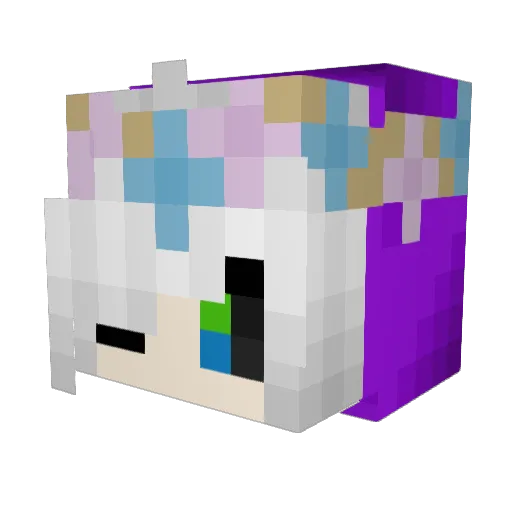 Feather_flight Minecraft avatar head, 3D render