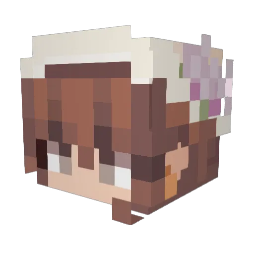 Feathercloud45 Minecraft avatar head, 3D render