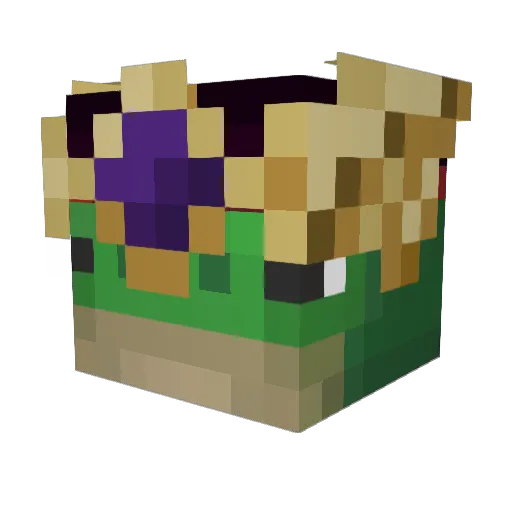 FeatheredTurtle Minecraft avatar head, 3D render
