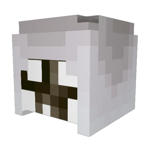 FeatherstoneT Minecraft avatar head, 3D render