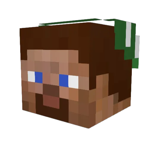 Featherwing Minecraft avatar head, 3D render