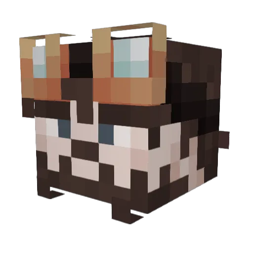 FebNeb Minecraft avatar head, 3D render
