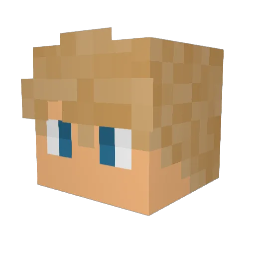 Febian111 Minecraft avatar head, 3D render
