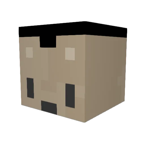 Febils Minecraft avatar head, 3D render