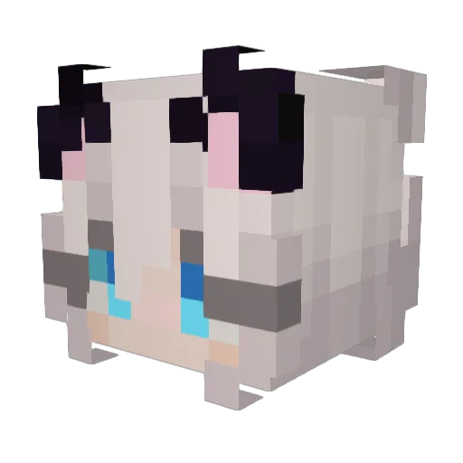 Febulosit Minecraft avatar head, 3D render