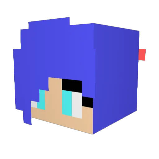 Fec_Presents Minecraft avatar head, 3D render