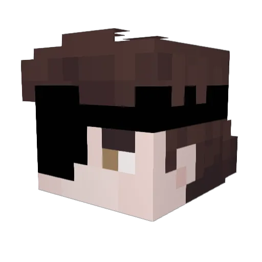 Fecro Minecraft avatar head, 3D render