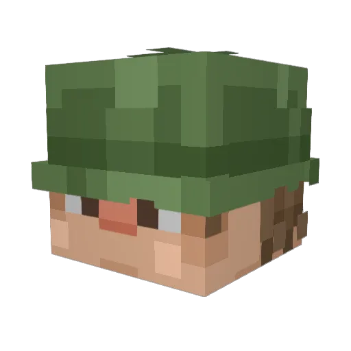 Fecul Minecraft avatar head, 3D render