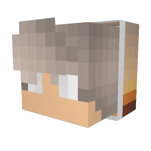 Fed0r_bug Minecraft avatar head, 3D render