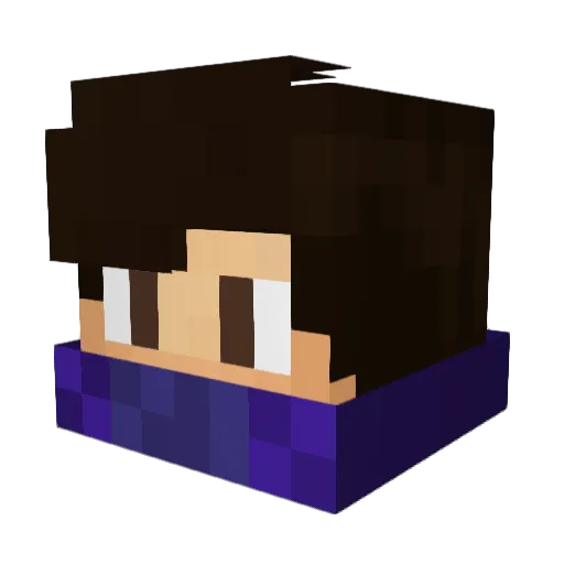 Fed312 Minecraft avatar head, 3D render