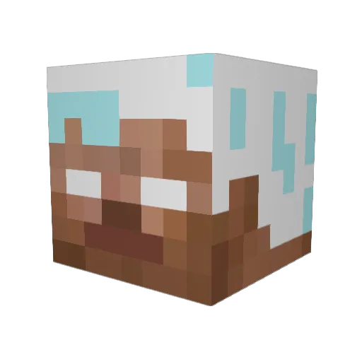 FedRex61 Minecraft avatar head, 3D render