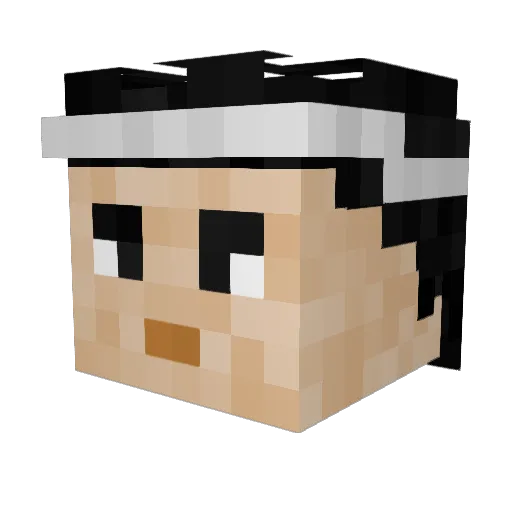 FedeBolso Minecraft avatar head, 3D render