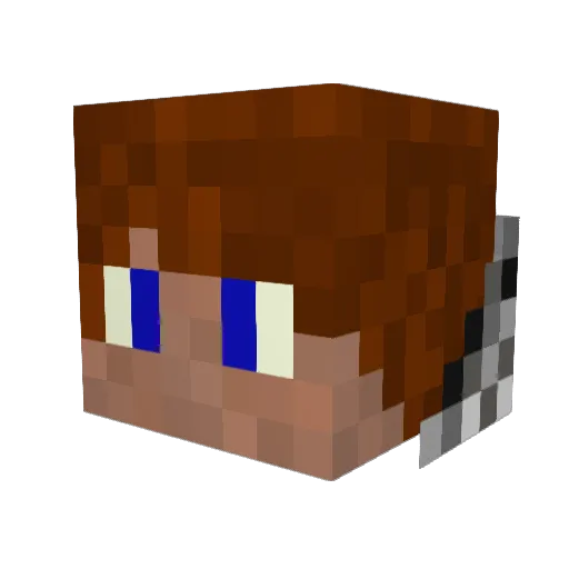 FedeOkingg Minecraft avatar head, 3D render