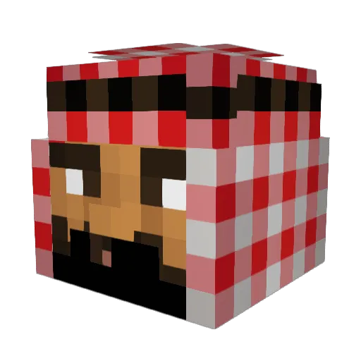 Fedelol121 Minecraft avatar head, 3D render