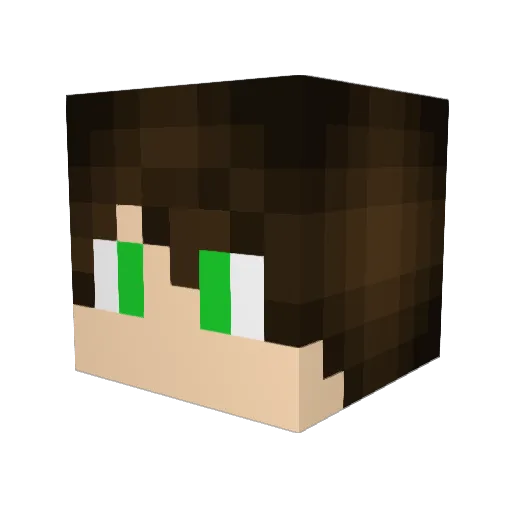 FederalBlood Minecraft avatar head, 3D render