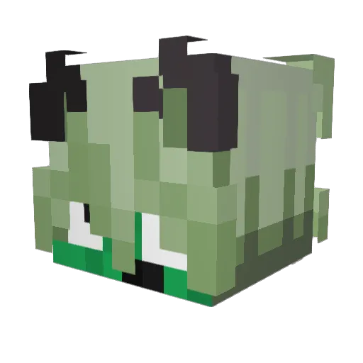 FederalCone7941 Minecraft avatar head, 3D render