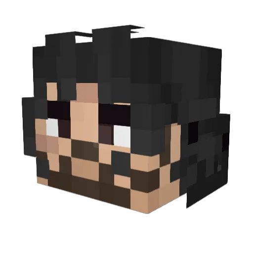 FederalGeico Minecraft avatar head, 3D render